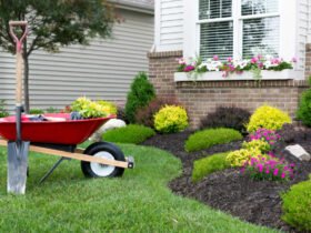 Is Landscaping a Good Investment? [+ improving curb appeal on a budget]