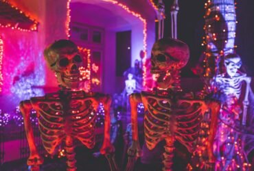 two skeletons talking to each other one with jaw dropped in shock. Halloween lights in background.