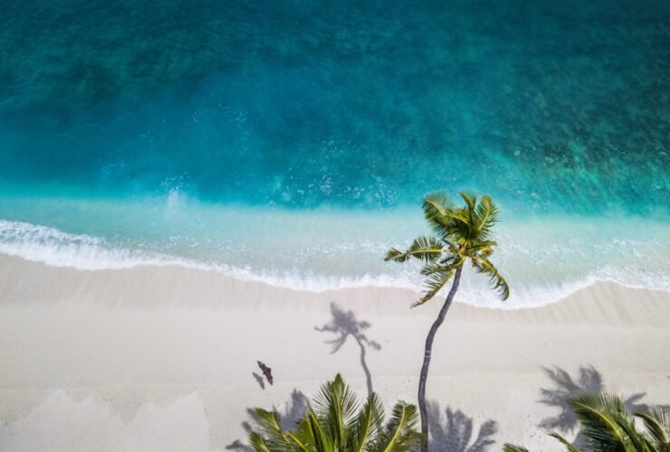 5 Ways to Fight Back Against Summer Inflation