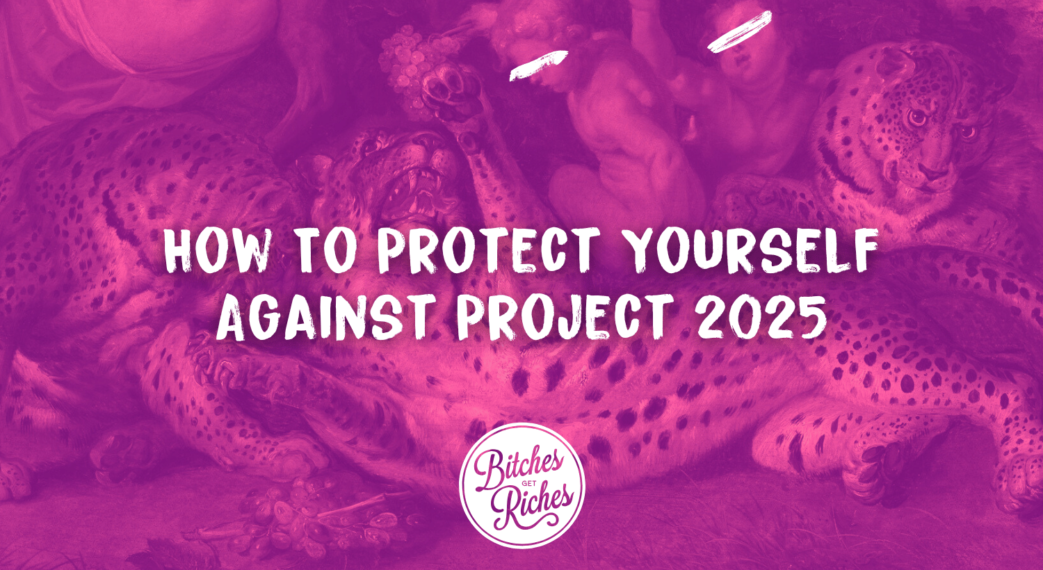 How To Protect Yourself Against Project 2025 • Bitches Get Riches