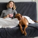 How to Financially Protect Yourself in a Divorce