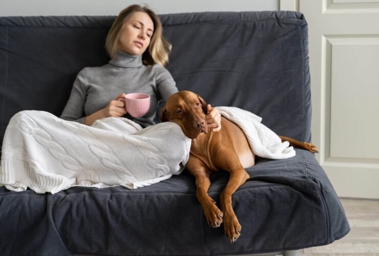 How to Financially Protect Yourself in a Divorce