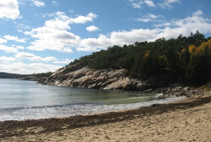 Free Entrance to National Parks in 2025 – Femme Frugality