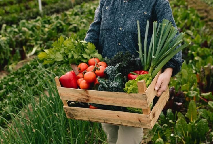 10 Ways To Save Money While Also Saving The Planet