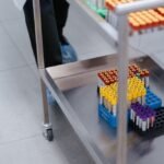 From Lab to Lives: How Vaccines Travel the Globe
