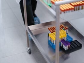 From Lab to Lives: How Vaccines Travel the Globe
