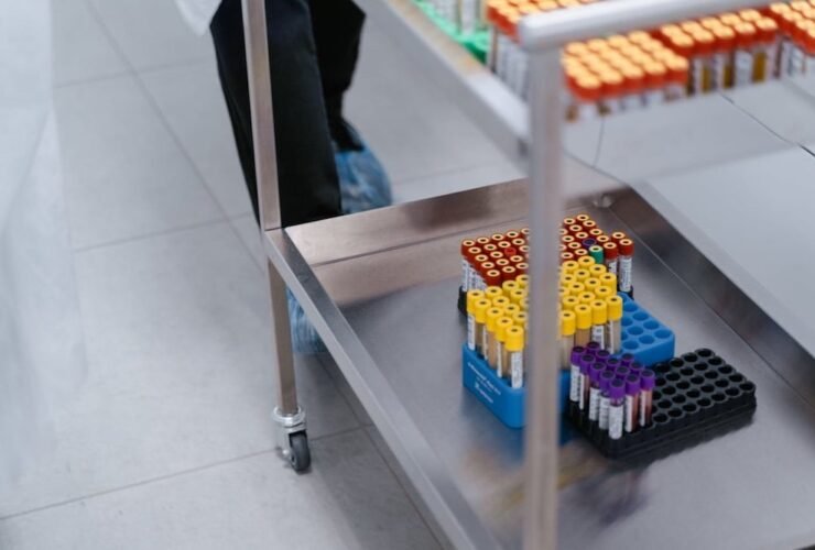 From Lab to Lives: How Vaccines Travel the Globe
