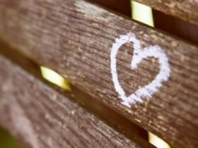 What Makes Us Strong? – Femme Frugality