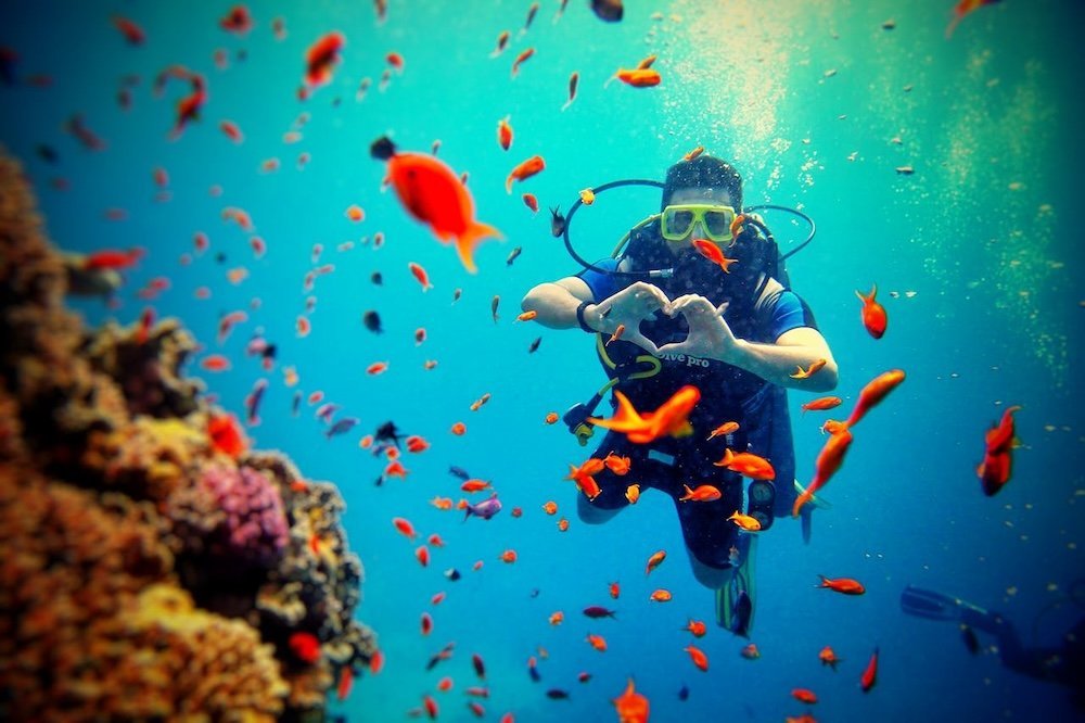 How Volunteering in Belize Is Saving Our Oceans One Dive at a Time