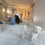 The Do’s and Don’ts of Home Improvement