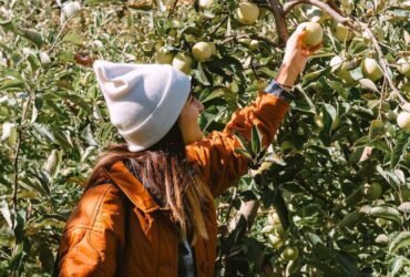 50 Fun Fall Activities, From Apple Picking to Leaf Peeping