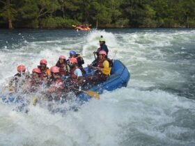 Your Guide to White Water Rafting Near Denver: Top Rivers & Outfitters